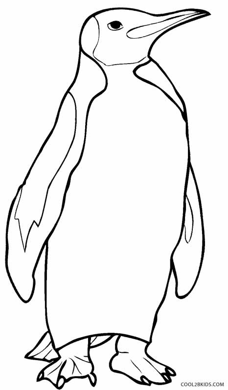 Penguin Coloring Pages For Kids
 Printable Penguin Coloring Pages For Kids