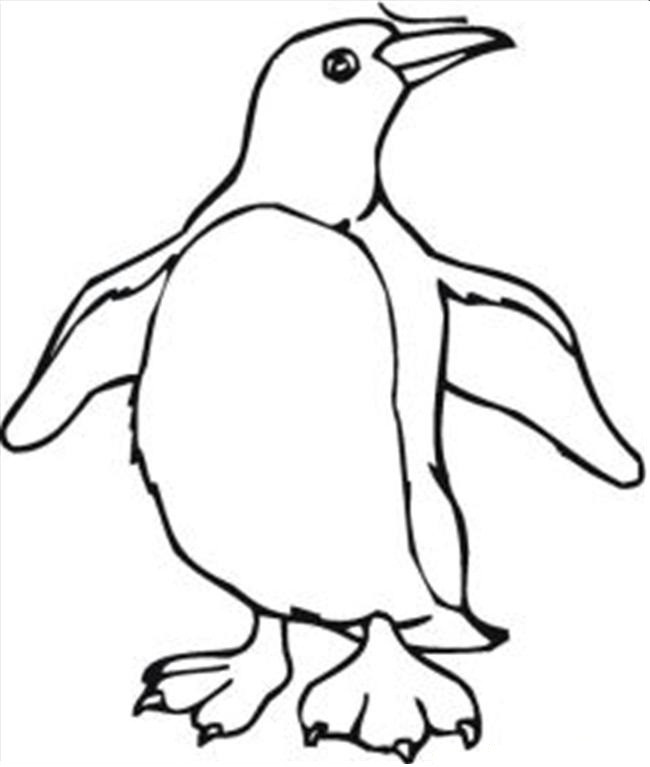 Penguin Coloring Pages For Kids
 Free Printable Penguin Coloring Pages For Kids