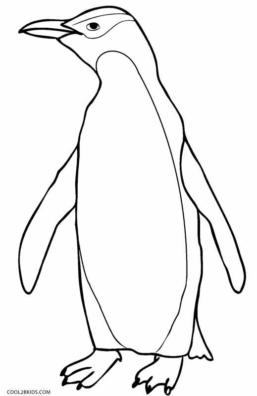 Penguin Coloring Pages For Kids
 Printable Penguin Coloring Pages For Kids