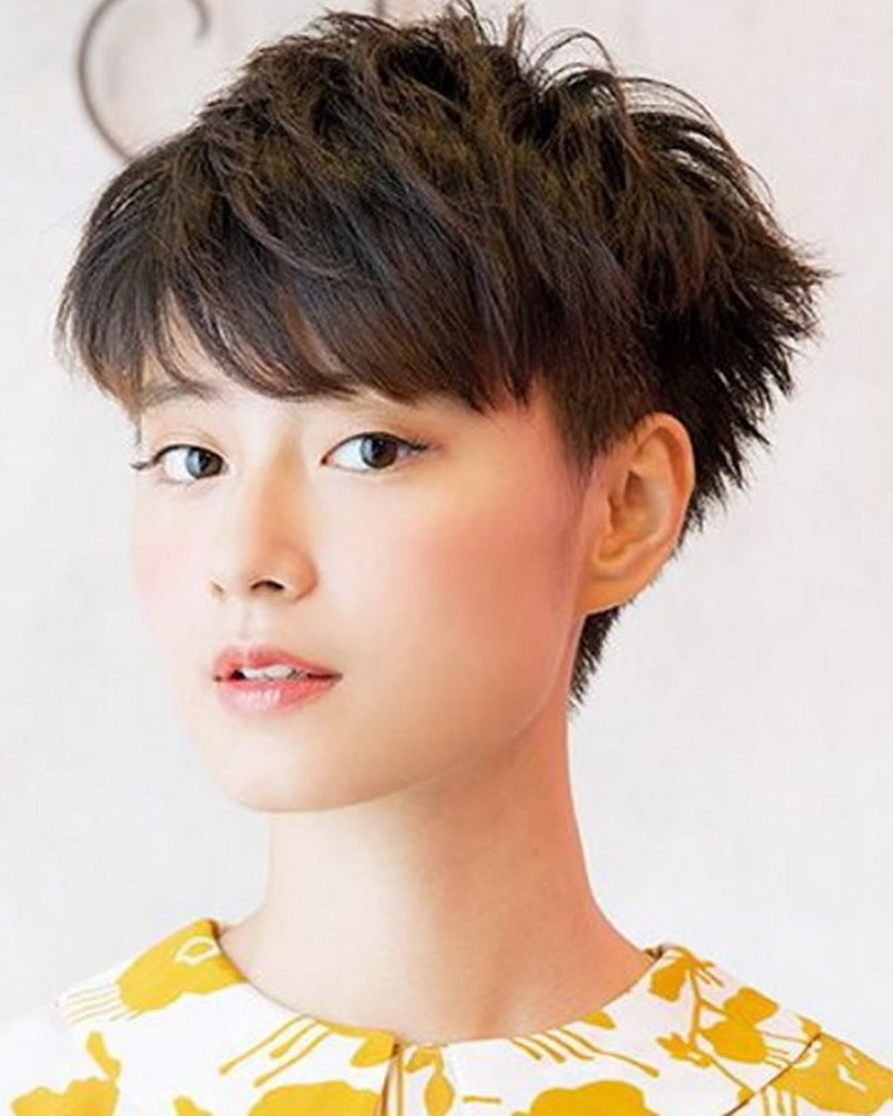 Pixie Hairstyles For Women
 Pixie Haircuts for Asian Women