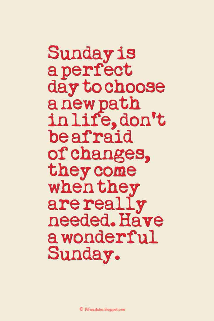 Positive Sunday Quotes
 Sunday Morning Quotes & That Will Enrich Your Day