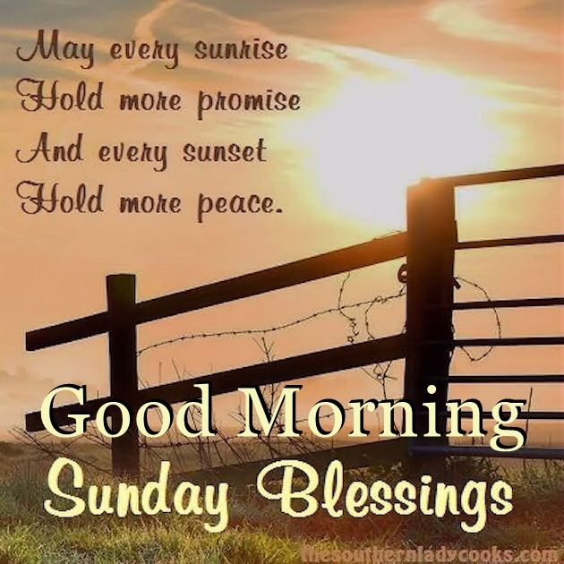 Positive Sunday Quotes
 Good Morning Sunday Blessings Quote s and
