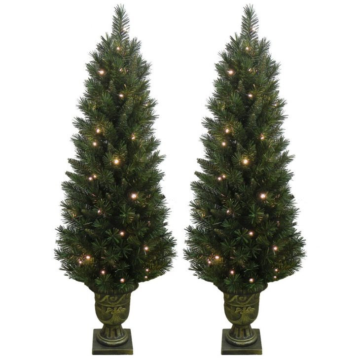 Pre Lit Outdoor Christmas Trees
 Outdoor Pre Lit Christmas Tree