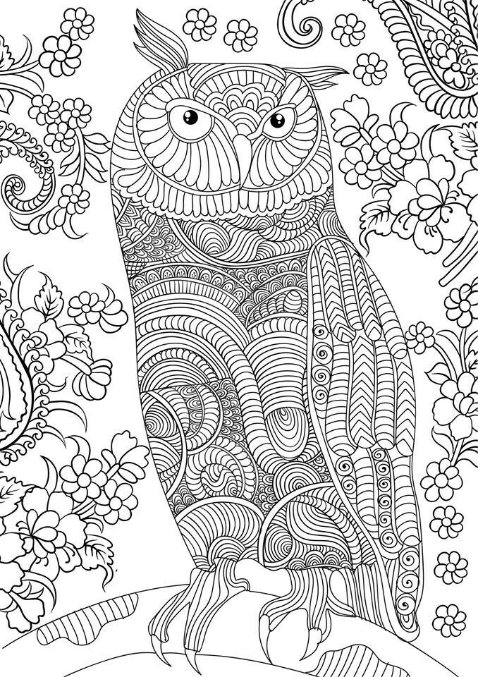 Printable Adult Coloring Book
 OWL Coloring Pages for Adults Free Detailed Owl Coloring