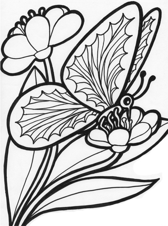 Printable Coloring Books For Kids
 Kids Page Butterfly Coloring Pages
