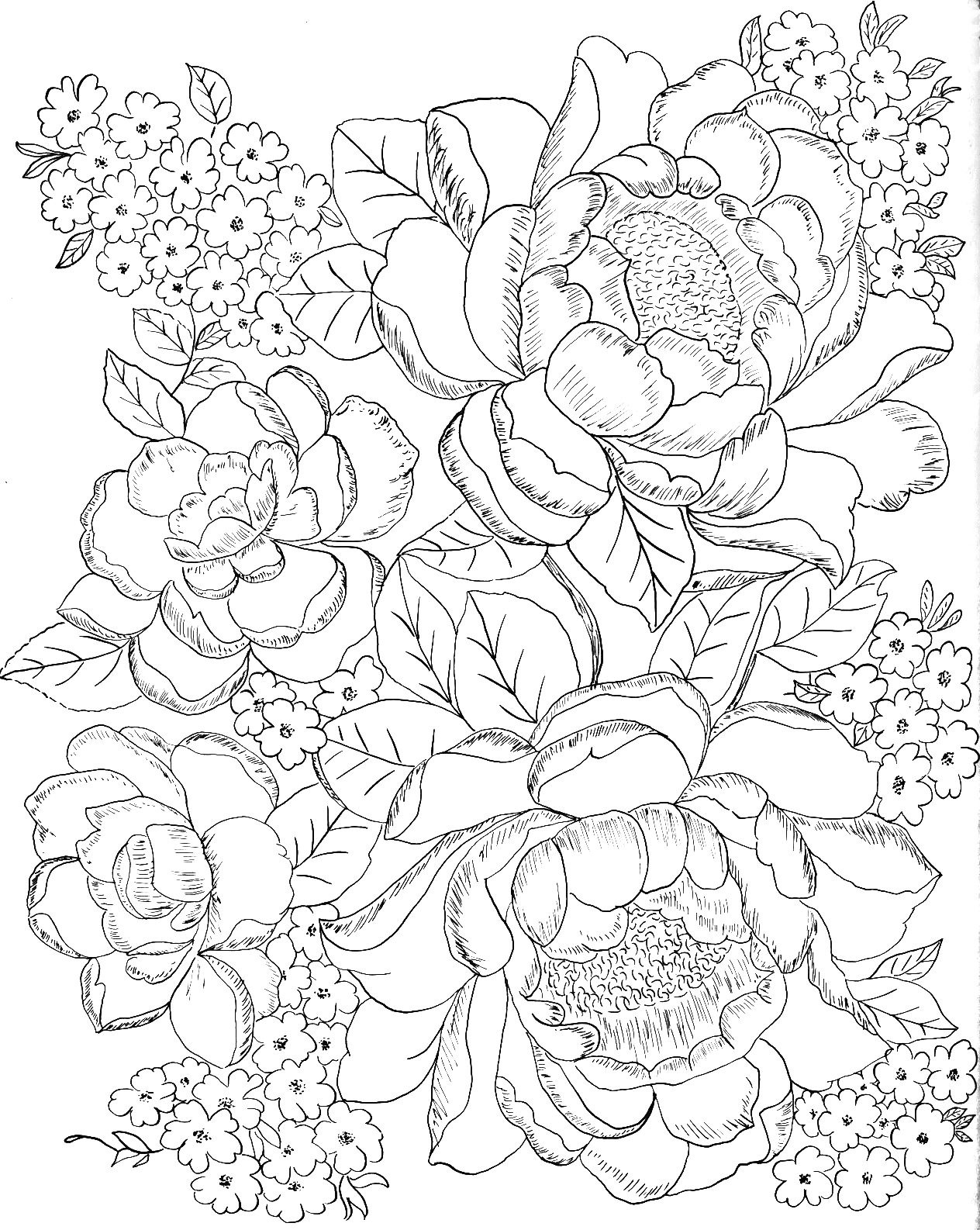 Printable Coloring Pages For Adults Flowers
 Digital Two for Tuesday Digital Two for Tuesday 172