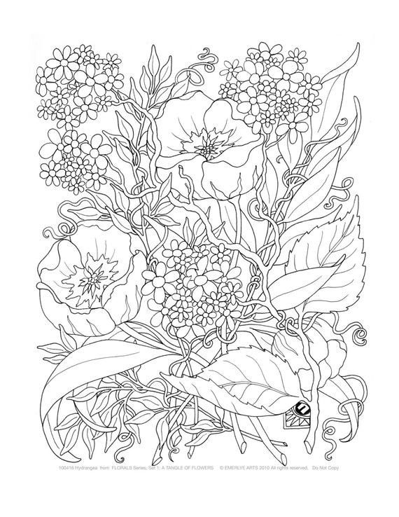 Printable Coloring Pages For Adults Flowers
 Adult Coloring A Tangle of Flowers Set of 8 by emerlyearts