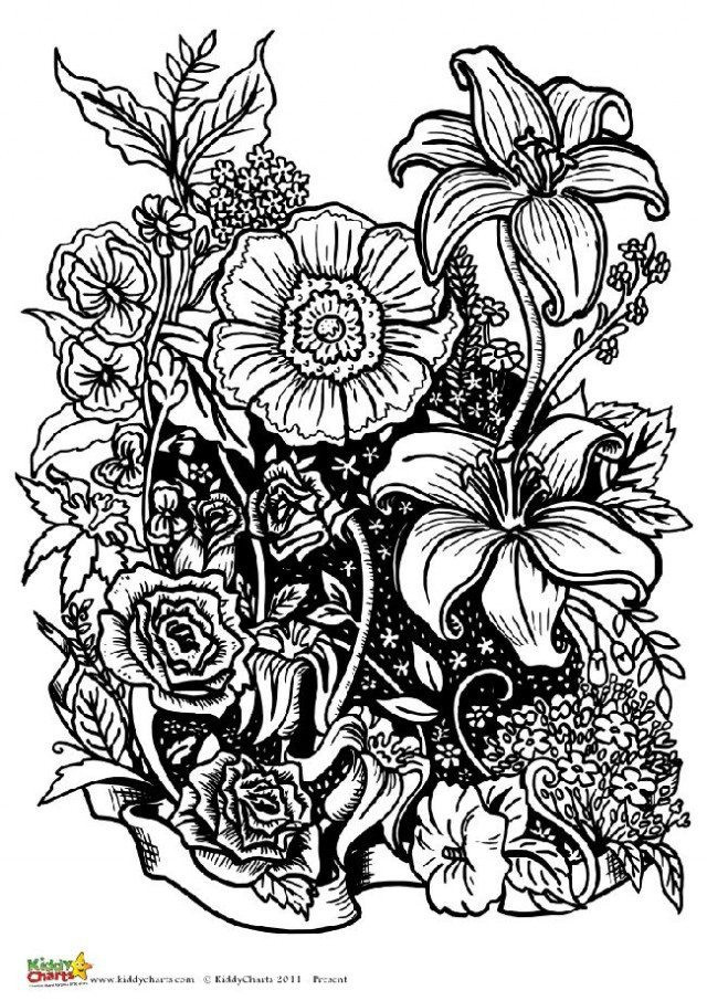 Printable Coloring Pages For Adults Flowers
 Four free flower coloring pages for adults