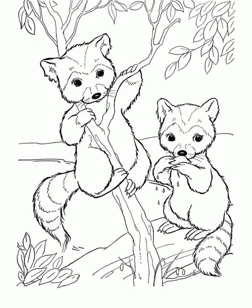 Printable Coloring Pages For Kids Animals
 Free Cute Raccoon Cartoon Animal Coloring Pages Printable