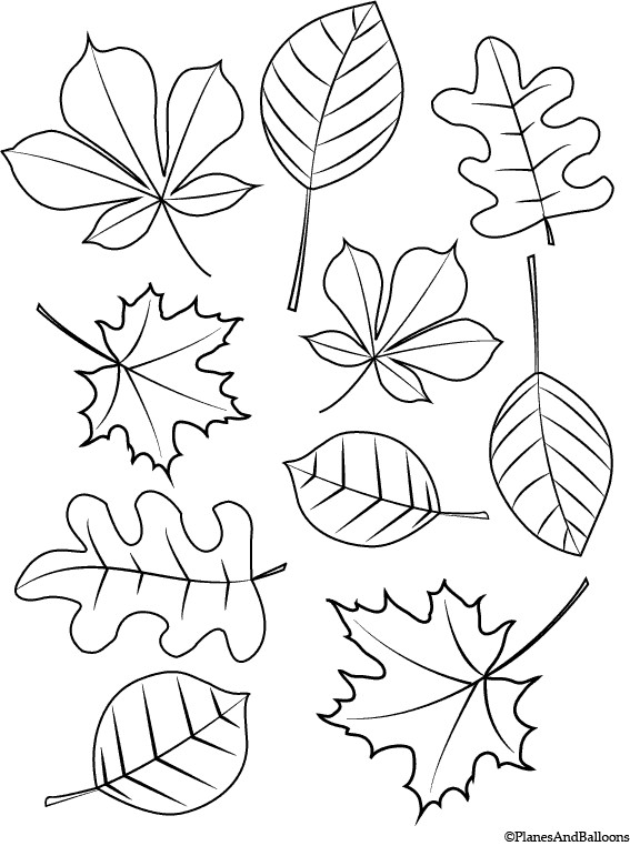 Printable Leaves Coloring Pages
 Fall Coloring Pages For Young Children FREE Instant Download