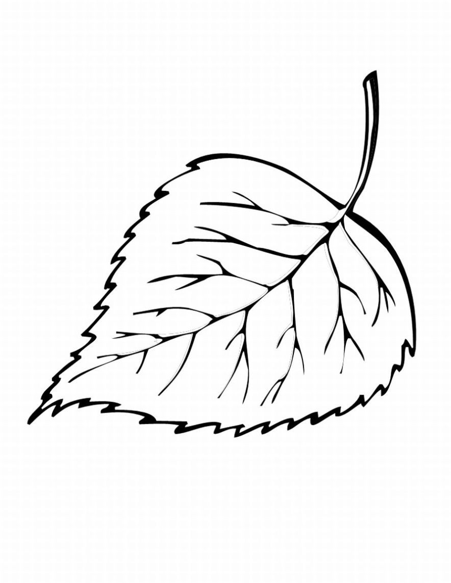 Printable Leaves Coloring Pages
 Free Printable Leaf Coloring Pages For Kids