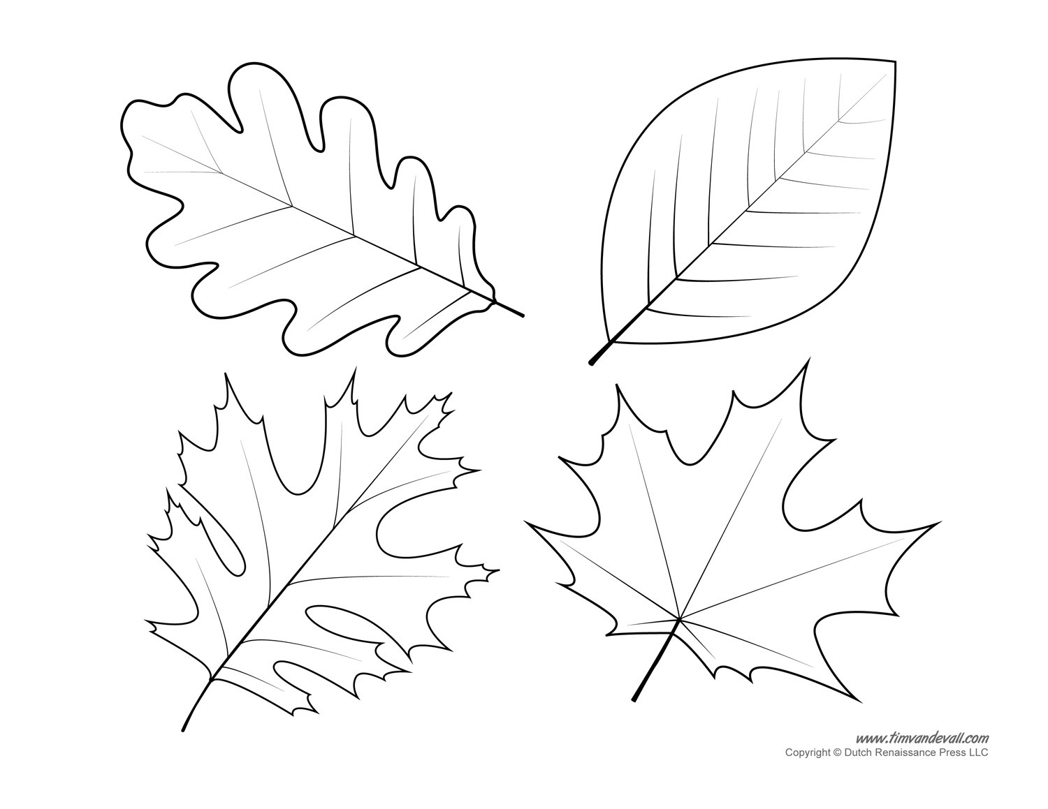 Printable Leaves Coloring Pages
 Leaf Templates & Leaf Coloring Pages for Kids