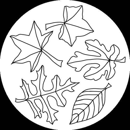 Printable Leaves Coloring Pages
 harherxringbruc Leaves In The Fall
