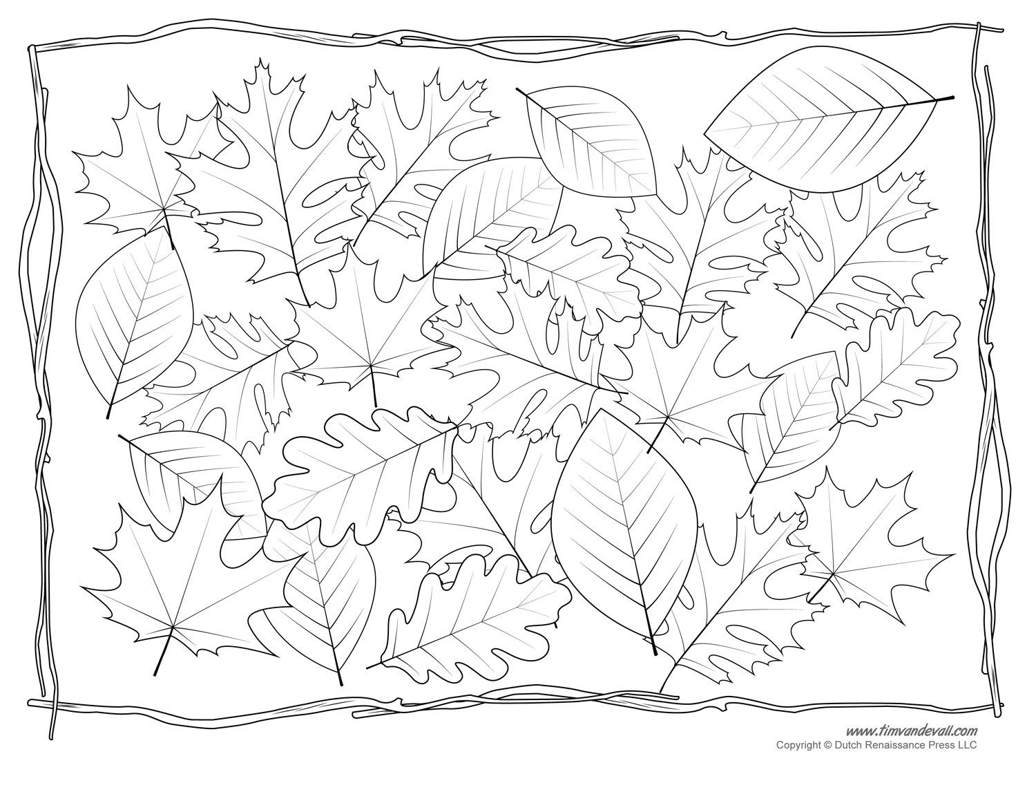Printable Leaves Coloring Pages
 Leaf Templates & Leaf Coloring Pages for Kids
