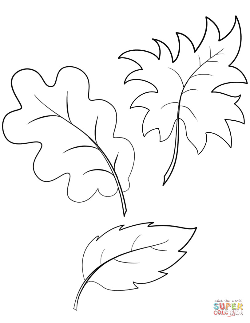 Printable Leaves Coloring Pages
 Fall Autumn Leaves coloring page
