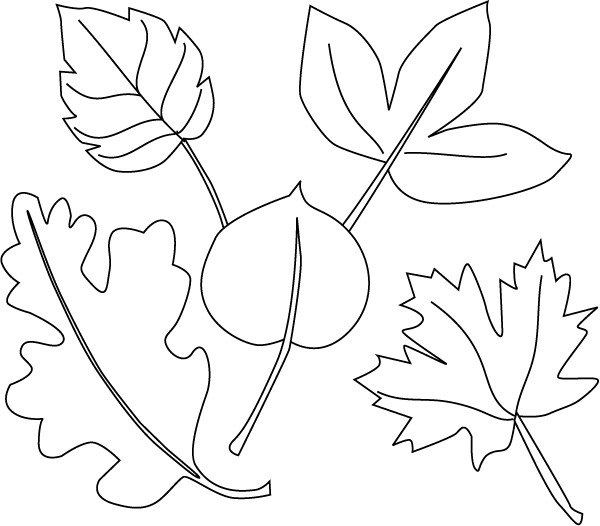 Printable Leaves Coloring Pages
 Five Little Leaves
