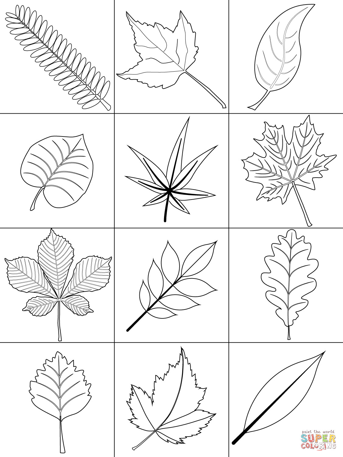 Printable Leaves Coloring Pages
 Autumn Leaves coloring page