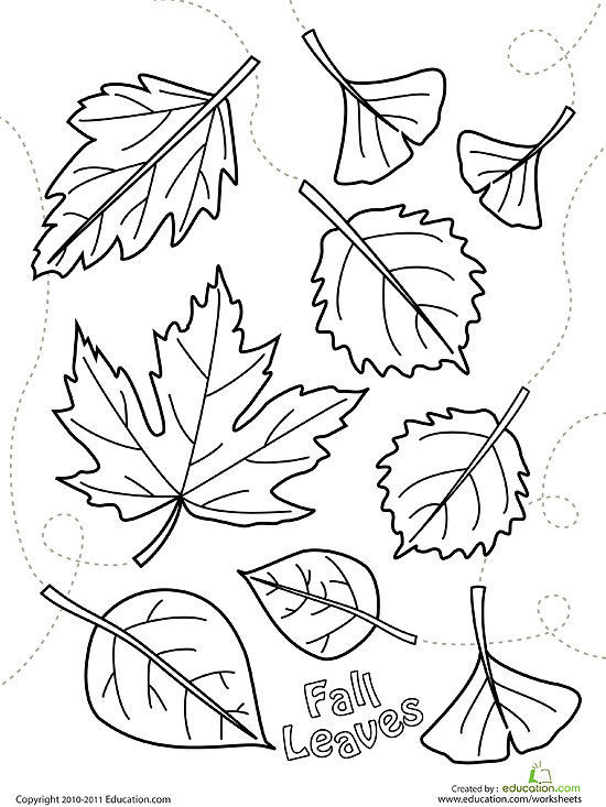Printable Leaves Coloring Pages
 Printable Fall Coloring Pages