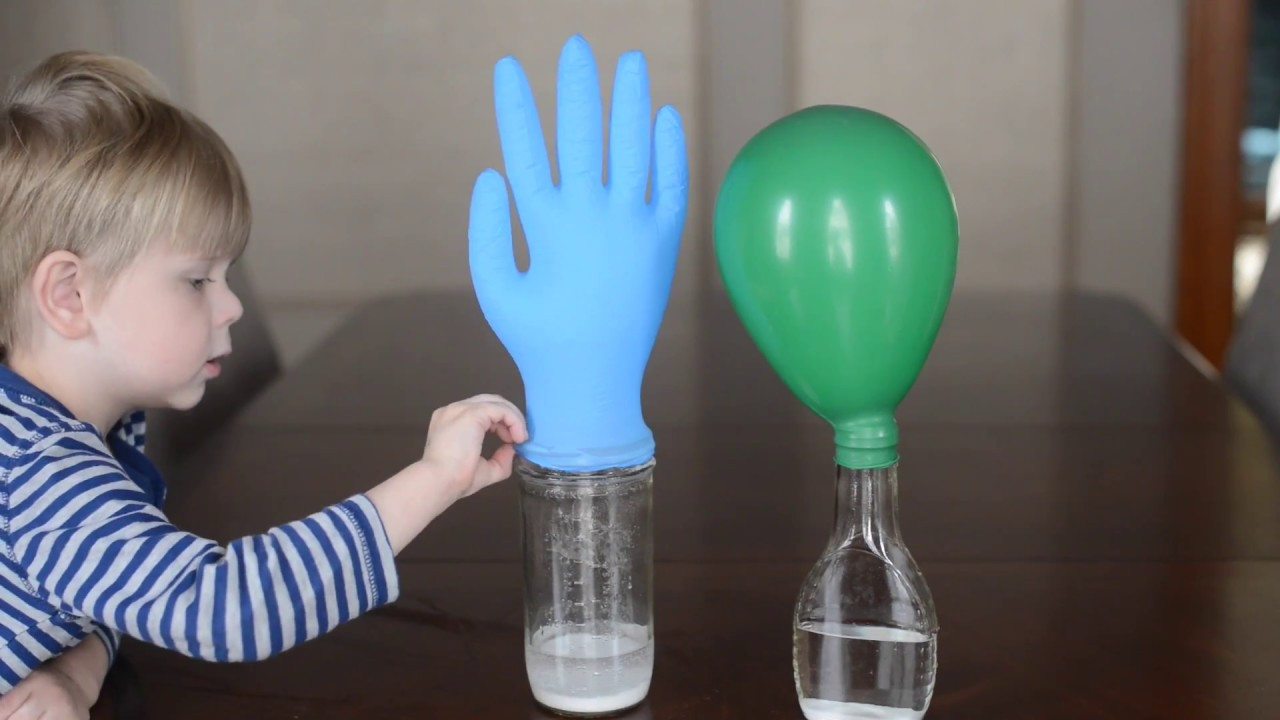 Projects To Do At Home For Kids
 10 Easy Science Experiments That Will Amaze Kids