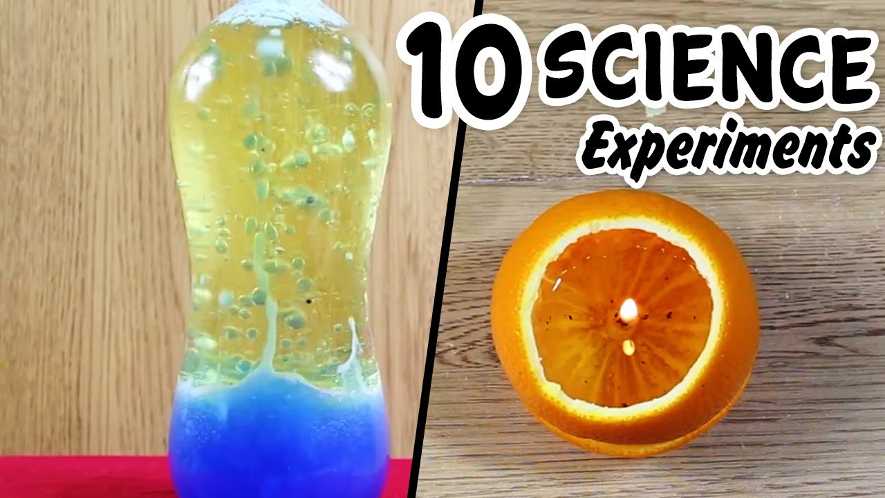 Projects To Do At Home For Kids
 Amazing Science Experiments That You Can Do At Home Cool