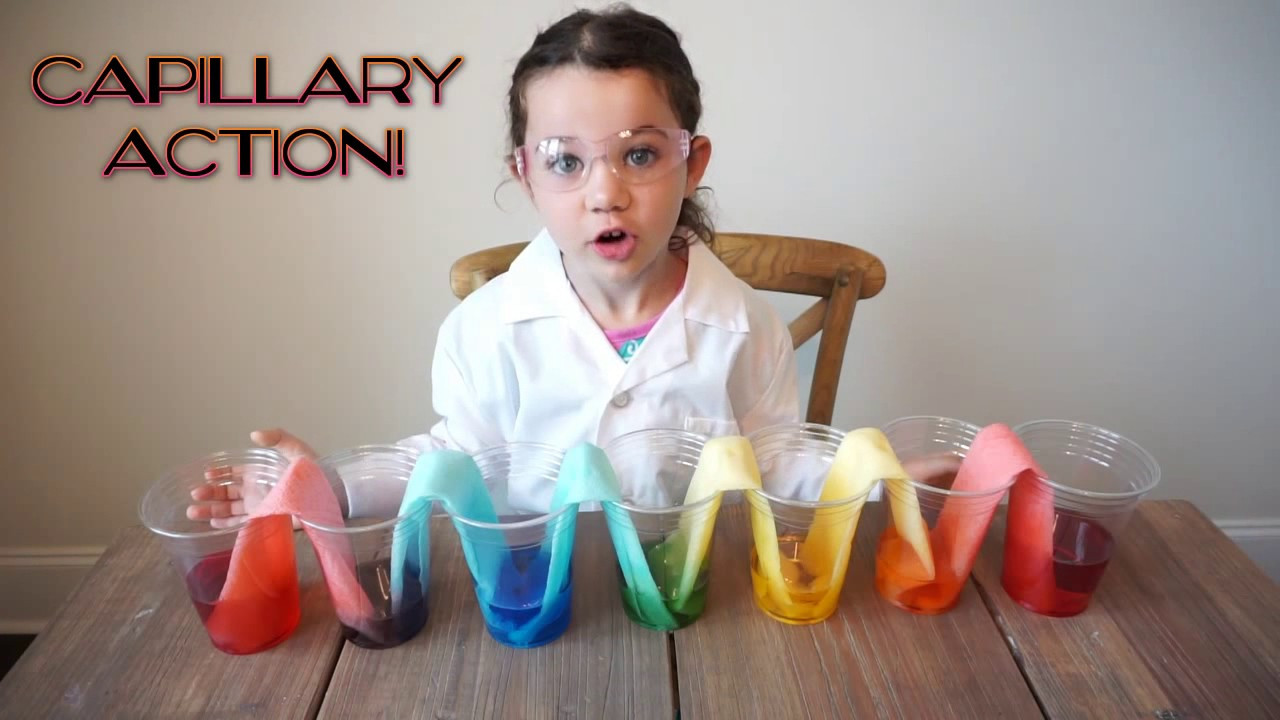 Projects To Do At Home For Kids
 Amazing Science Experiments for Kids