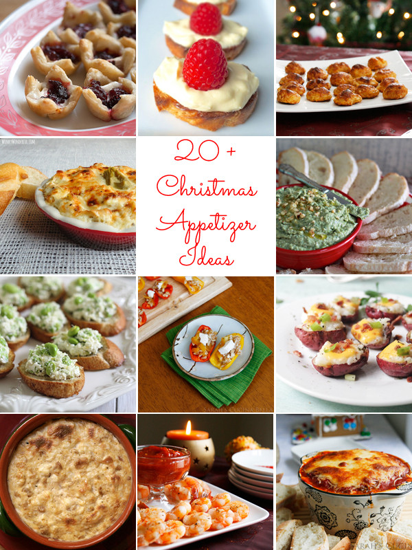 Quick And Easy Appetizers For Party
 Quick and Easy Christmas Appetizer Recipes