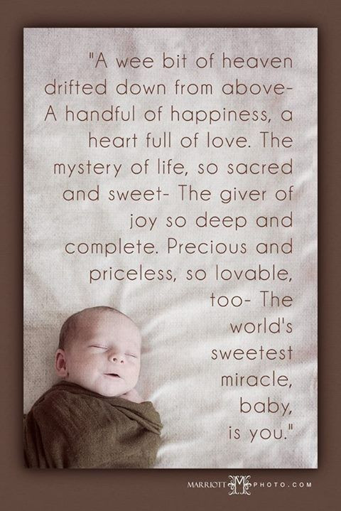 Quote For New Born Baby
 A wee bit of heaven drifted down from above a handful of