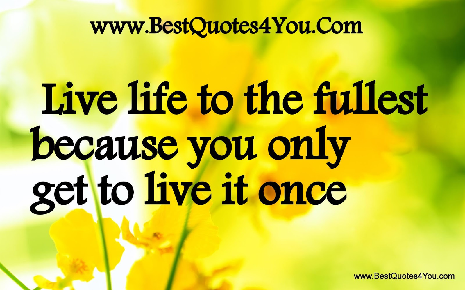 Quote On Living Life To The Fullest
 The Fullest Life Quotes To Live By QuotesGram