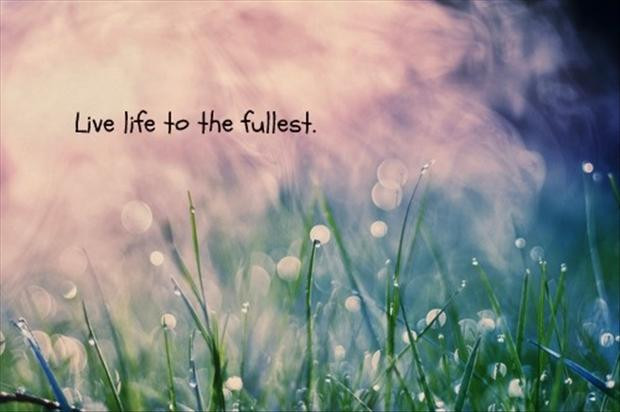 Quote On Living Life To The Fullest
 Live Life Quotes Living Life To The Full Quotes s