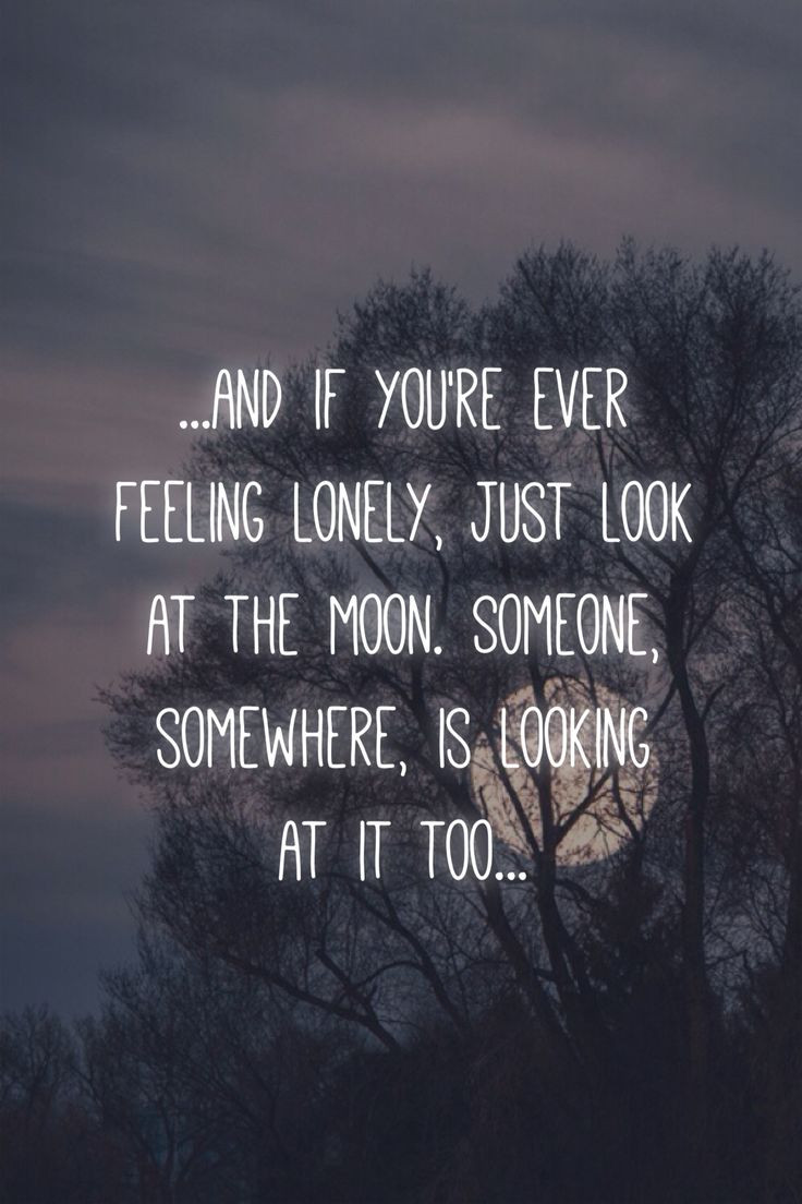 Quote Sadness Love
 and if you re ever feeling lonely just look at the moon