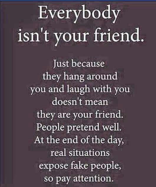 Quotes About False Friendship
 Not everyone is your friend