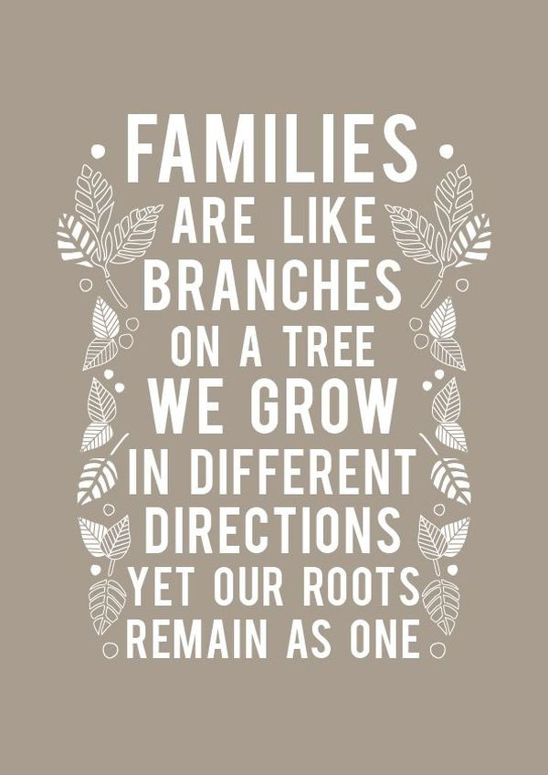 Quotes About Family
 Family Quotes 167 Short Love My Family Sayings
