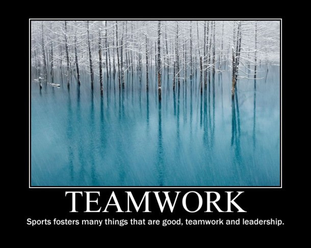 Quotes About Leadership And Teamwork
 Quotes About Teamwork And Leadership QuotesGram
