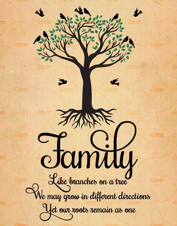 Quotes About Trees And Family
 Printable Family Like Branches a Tree Family Quote
