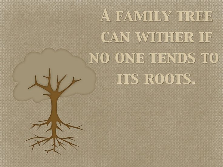 Quotes About Trees And Family
 17 best images about Genealogy I am doing it on