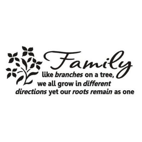 Quotes About Trees And Family
 Family like branches on a tree Wall art decals vinyl love