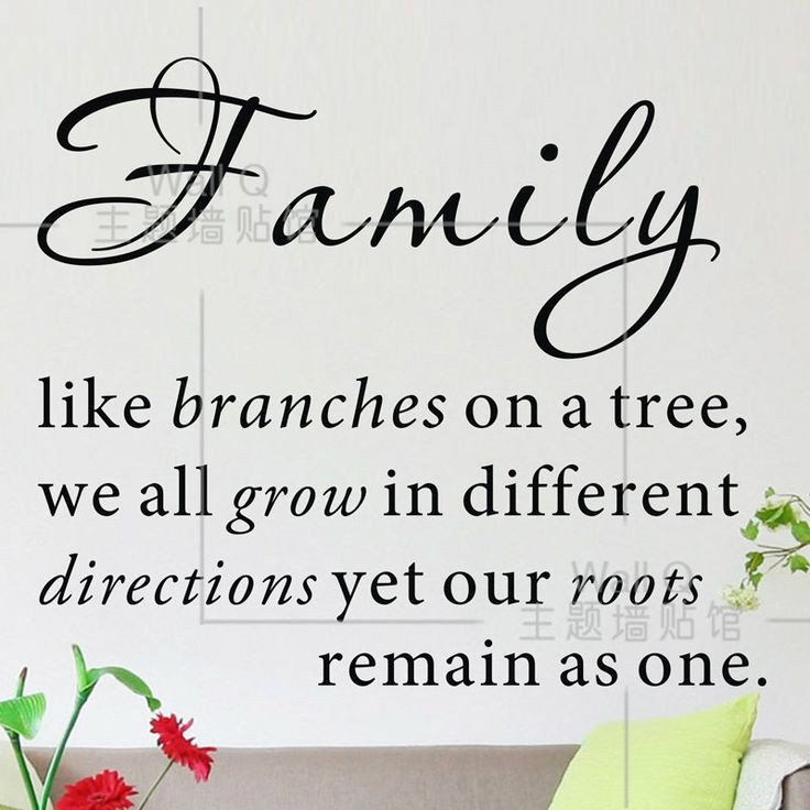 Quotes About Trees And Family
 Funny Quotes About Family Trees QuotesGram