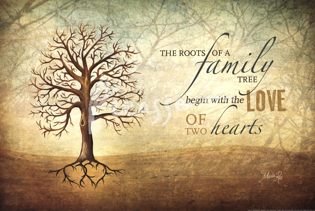 Quotes About Trees And Family
 Quotes about Family trees 47 quotes