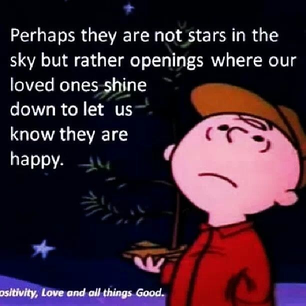 Quotes From Charlie Brown Christmas
 Quotes From Charlie Brown Christmas QuotesGram