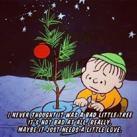 Quotes From Charlie Brown Christmas
 Charlie Brown Christmas Quotes QuotesGram