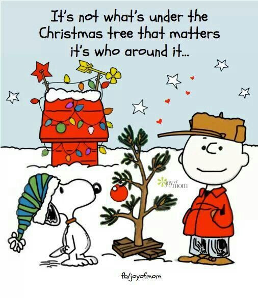 Quotes From Charlie Brown Christmas
 Charlie Brown Christmas Quotes QuotesGram