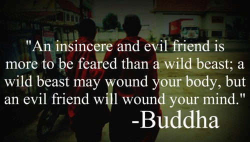 Quotes On Bad Friendships
 Friendship the Good the Bad and the Really Ugly