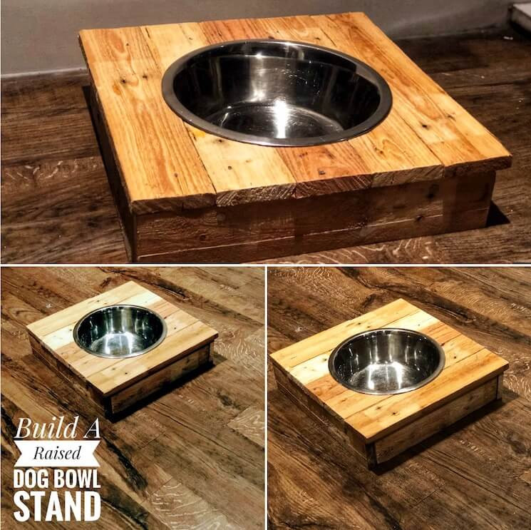Raised Dog Bowl DIY
 Build a Raised Dog Bowl Stand DIY Step by Step Guide