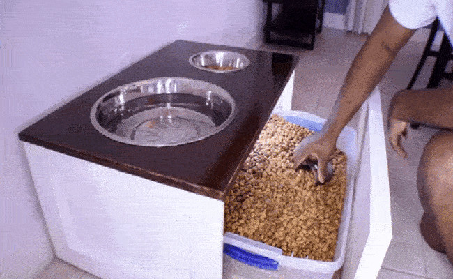 Raised Dog Bowl DIY
 DIY Dog Bowl Stand Genius