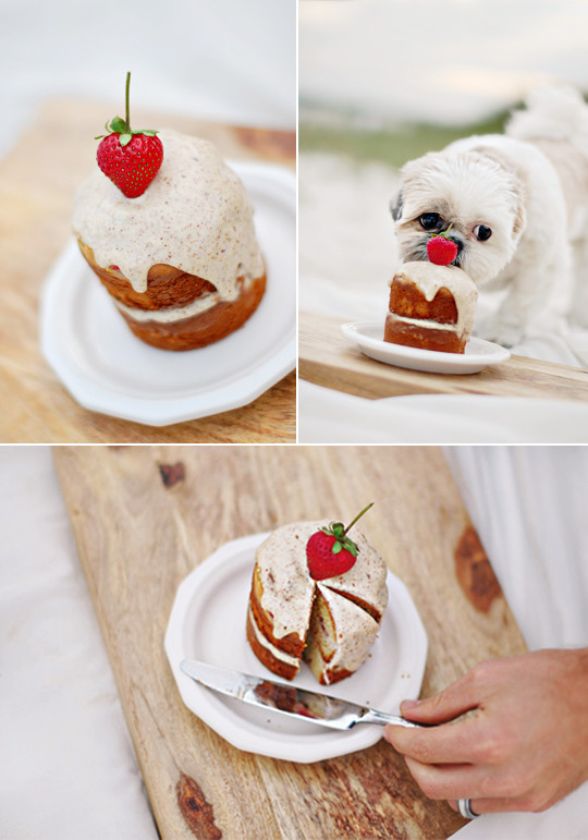 Recipes For Dog Birthday Cake
 The Best Dog Birthday Cake Recipe Coco’s Birthday