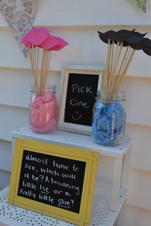 Reveal The Gender Party Ideas
 25 Gender Reveal Party Ideas C R A F T