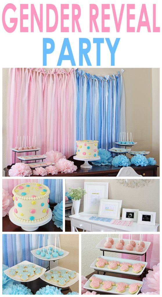 Reveal The Gender Party Ideas
 Gender Reveal Party Two Twenty e