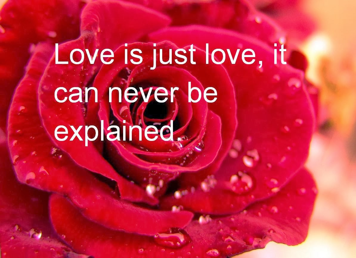 Romantic Valentine Quotes
 Happy Valentine s Day 2014
