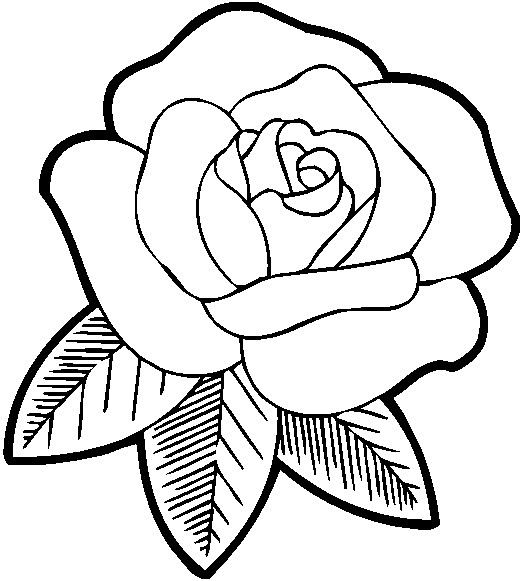 Rose Coloring Pages For Kids
 Coloring Pages for Kids Rose Coloring Pages