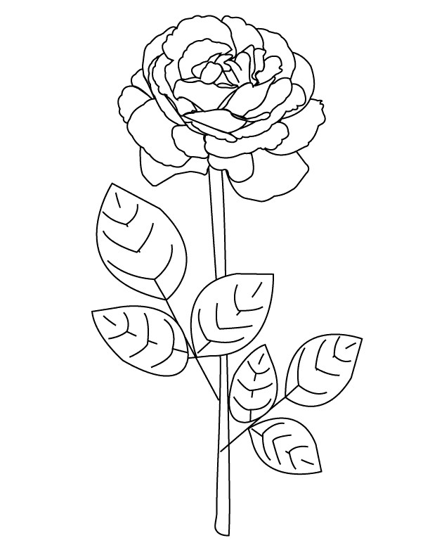 Rose Coloring Pages For Kids
 Coloring Pages for Kids Rose Coloring Pages for Kids